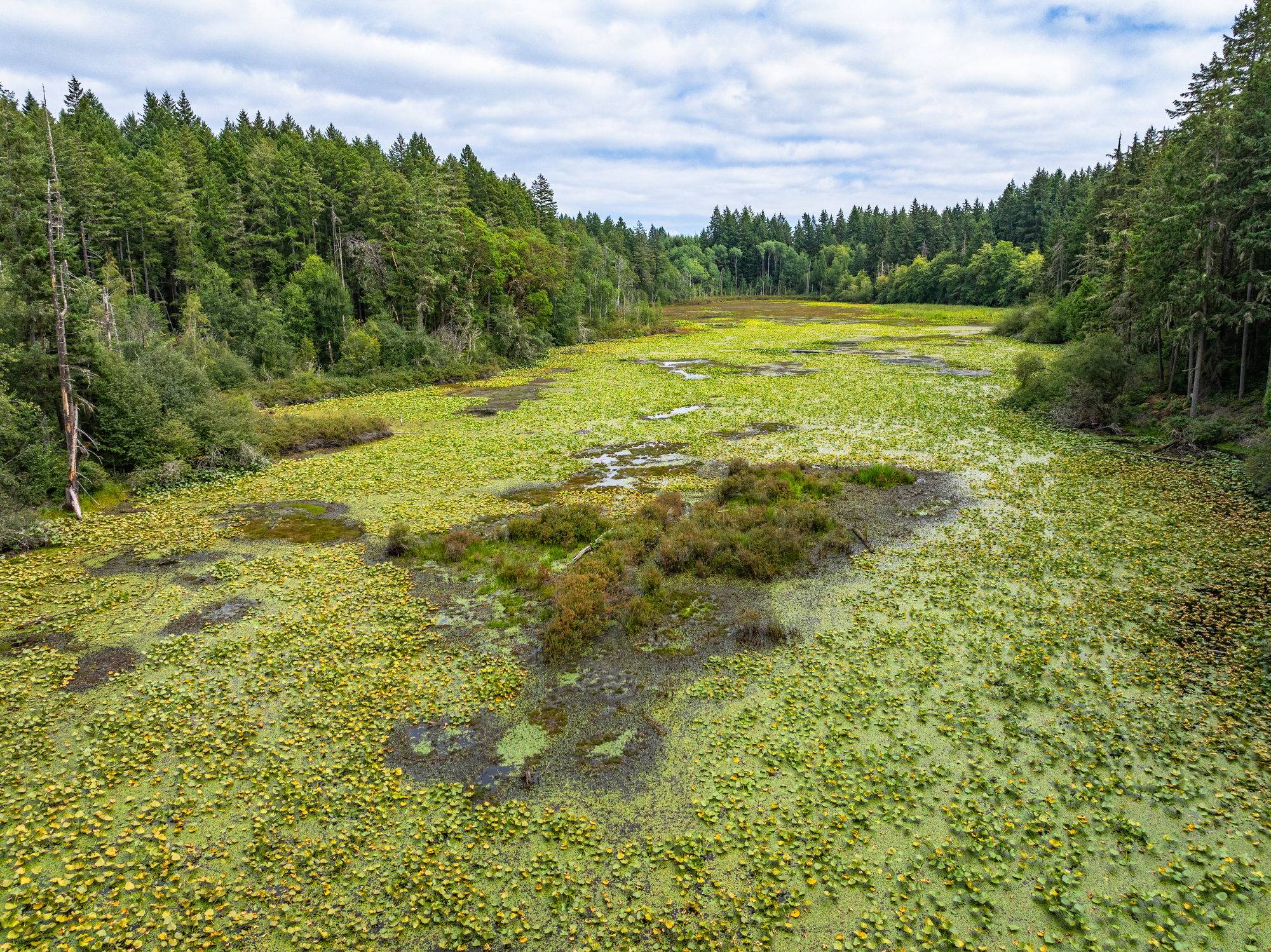 Fisher Pond on Vashon Island in Washington State